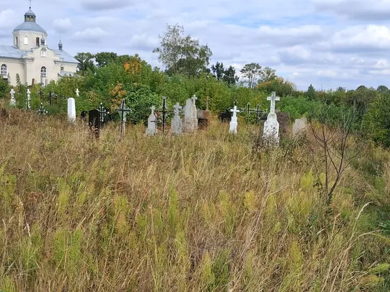 Занедбаний сільський цвинтар, хрести в високій траві, церква на обрії